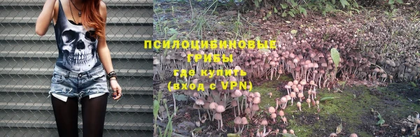 a pvp Белоозёрский