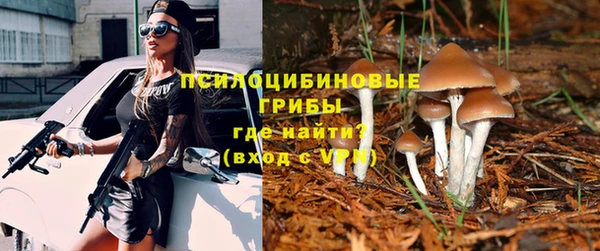 MESCALINE Белокуриха