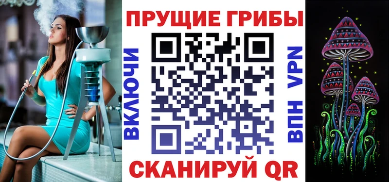 Купить закладки  Новоуральск  Галлюциногенные грибы MAGIC MUSHROOMS 